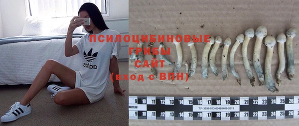 a pvp Абинск