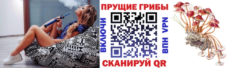 Псилоцибиновые грибы Cubensis  Лиски 