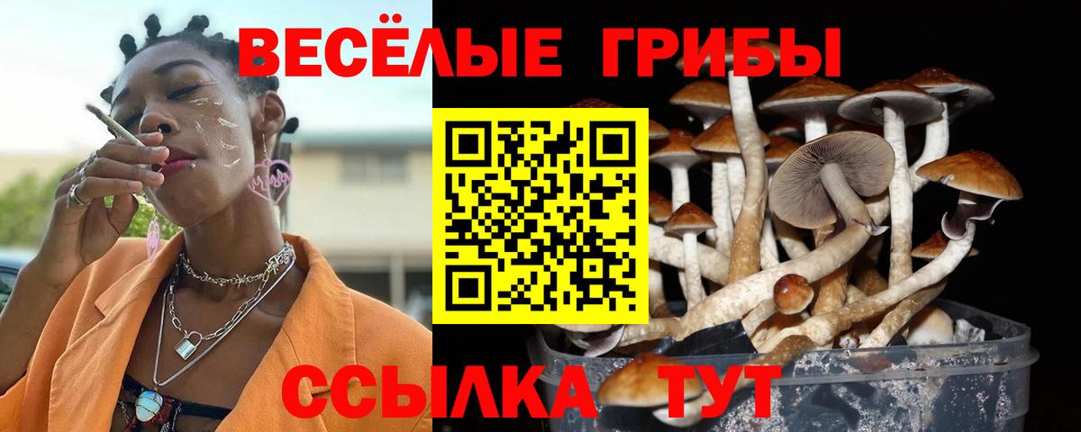 Галлюциногенные грибы ЛСД Лиски