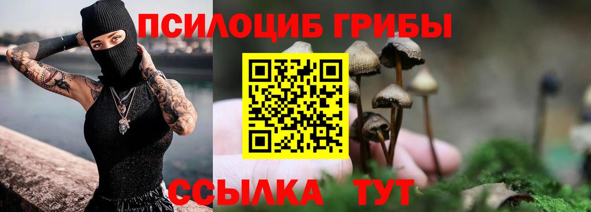 Псилоцибиновые грибы GOLDEN TEACHER  Вход с VPN  Галлюциногенные грибы Psilocybine cubensis  Лиски 